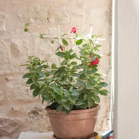 아파트 Yacht Harbor