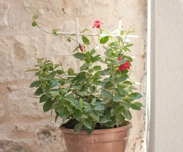 Lejlighed Yacht Harbor